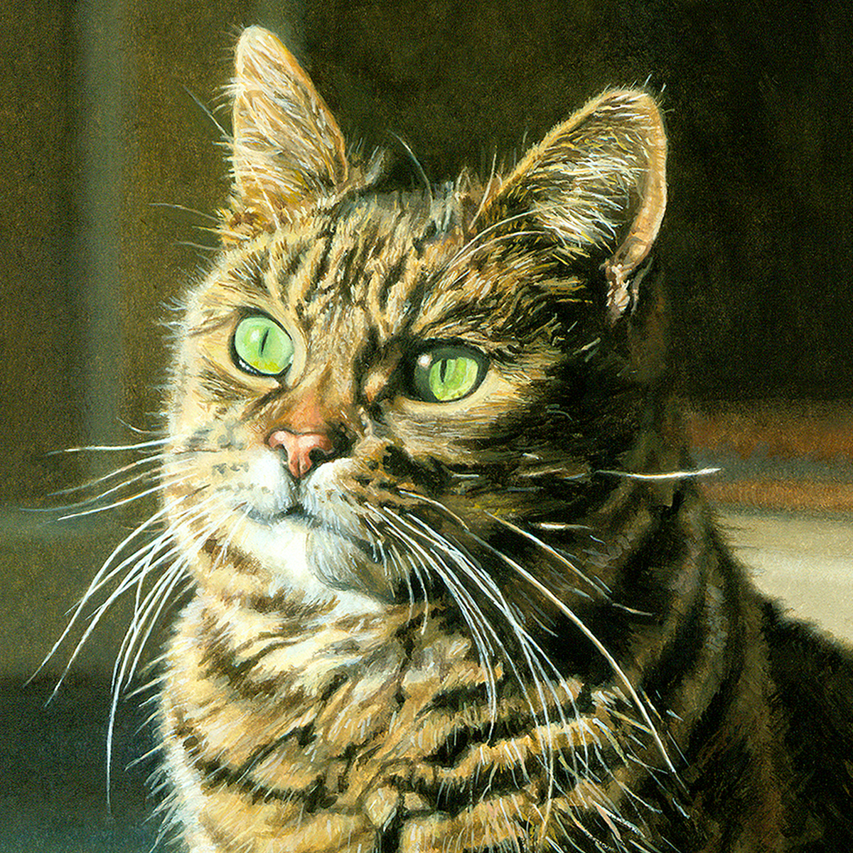 cats category header