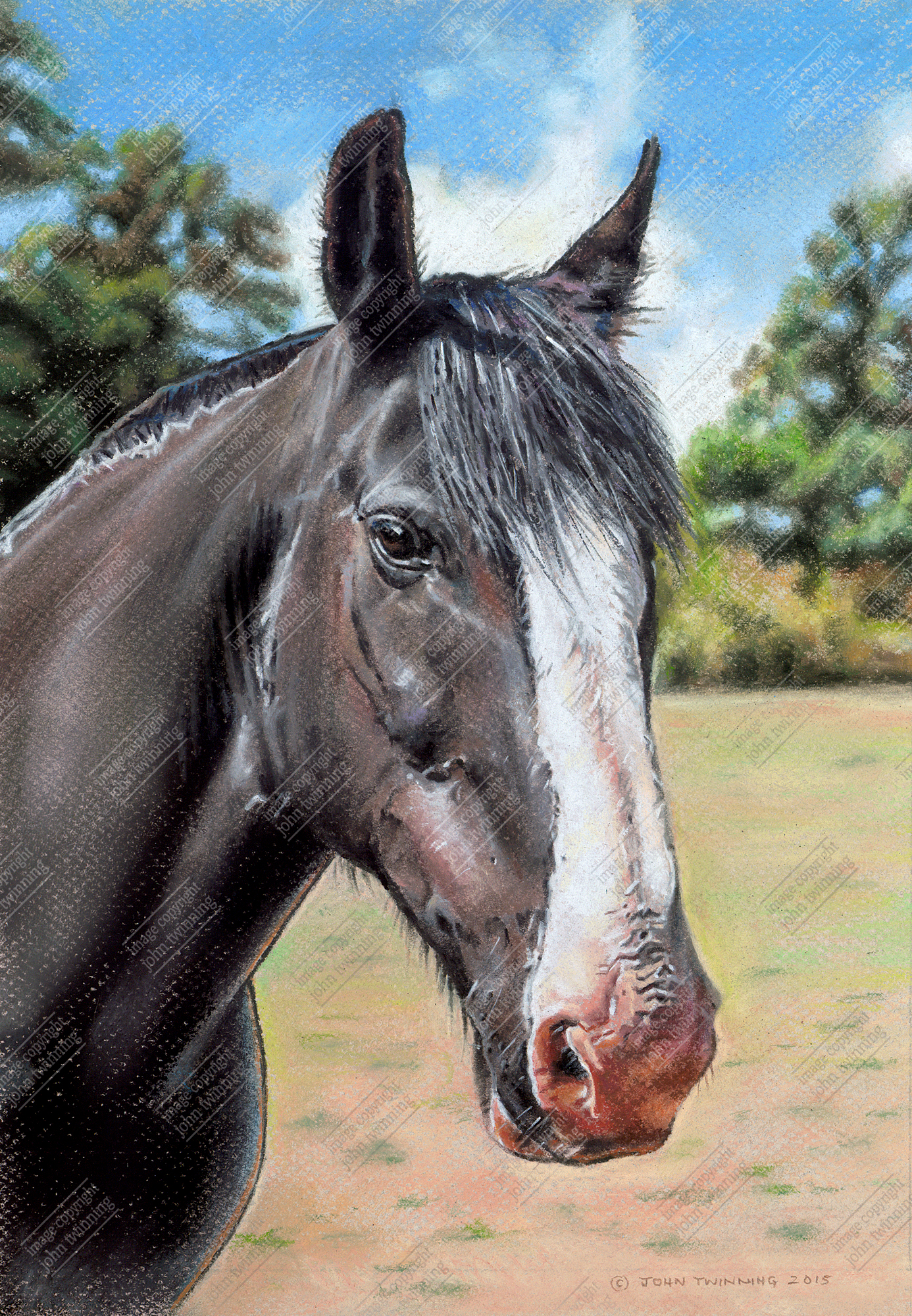 'George' - art print from an equestrian pet portrait painting