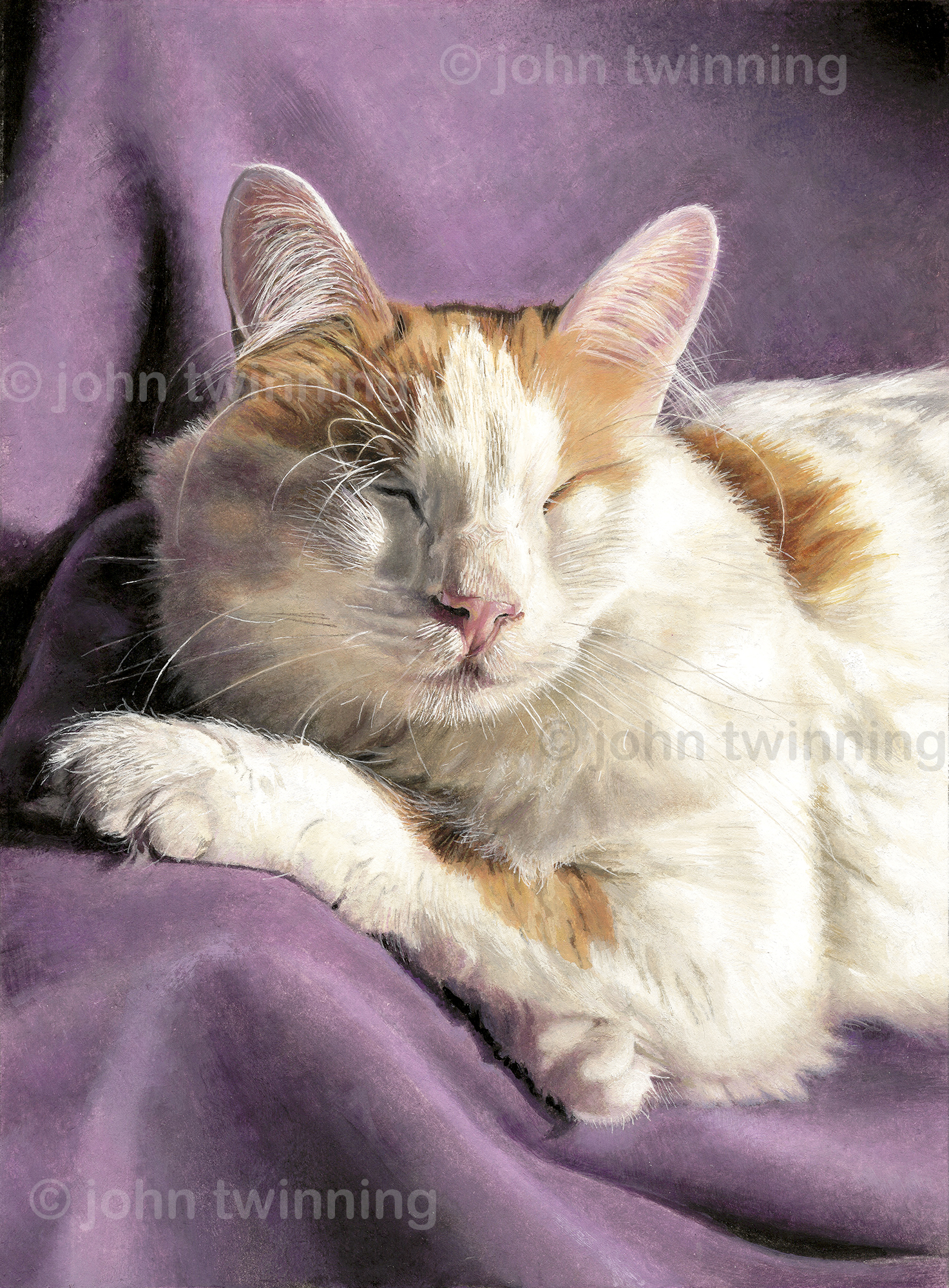 ‘Kristoff’ – art print from a pet portrait watercolour painting of a Cyrpriot rescue cat.