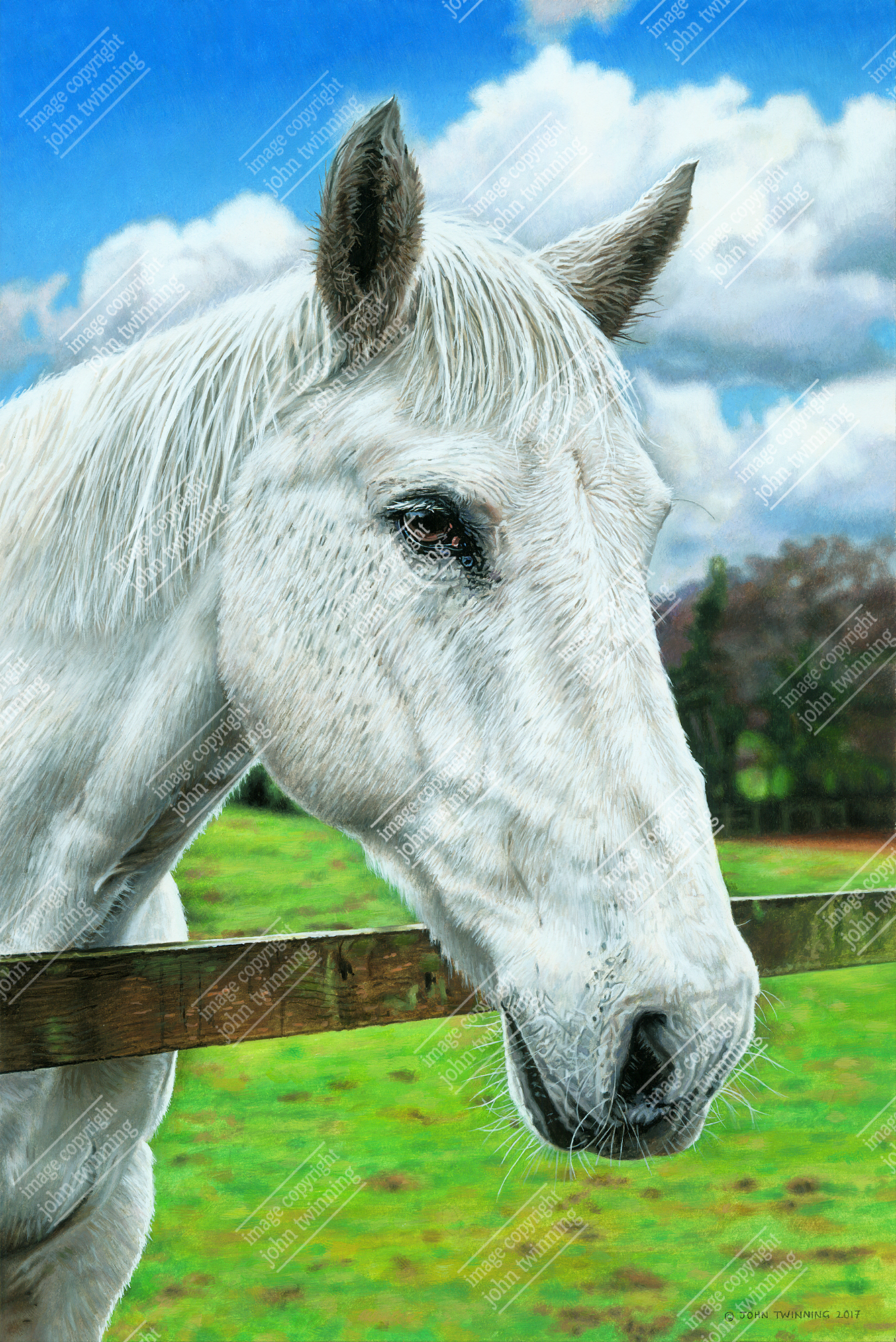 'Gina' - art print from an equestrian pet portrait painting of a grey mare