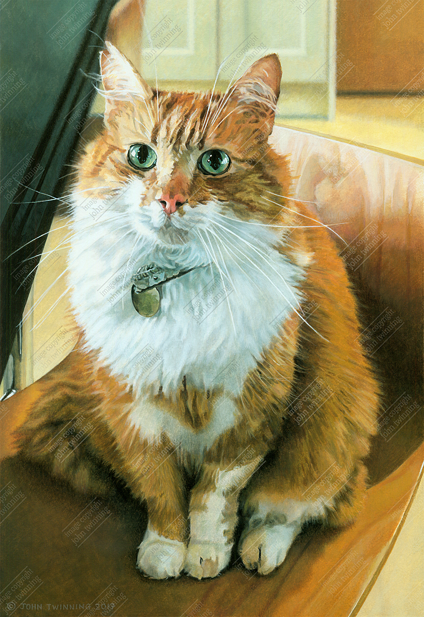 ‘Irvine Ginger’ – art print from a pet portrait watercolour painting of an orange tabby cat