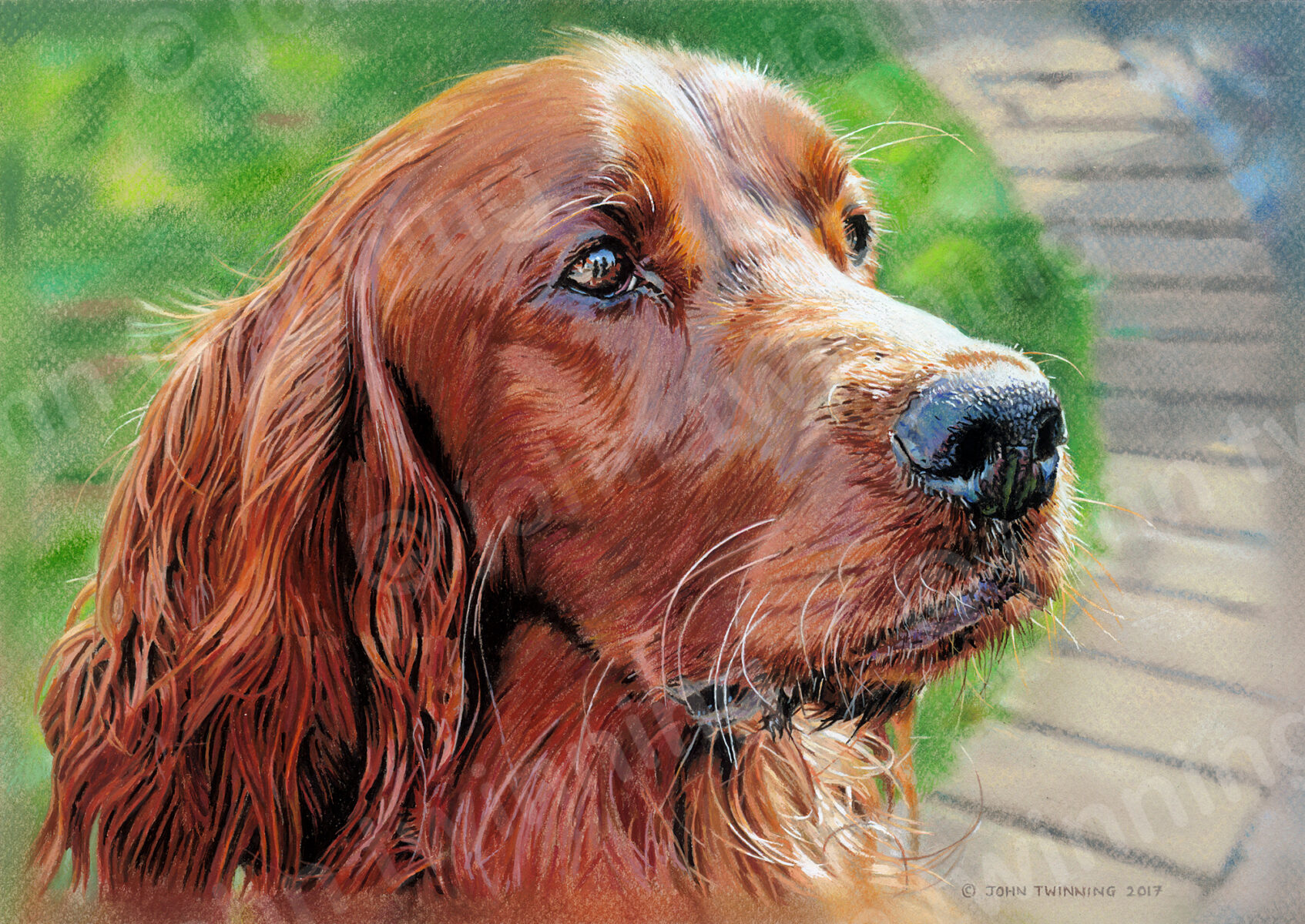 'Morgan' - art print from a pet portrait painting of an irish red setter