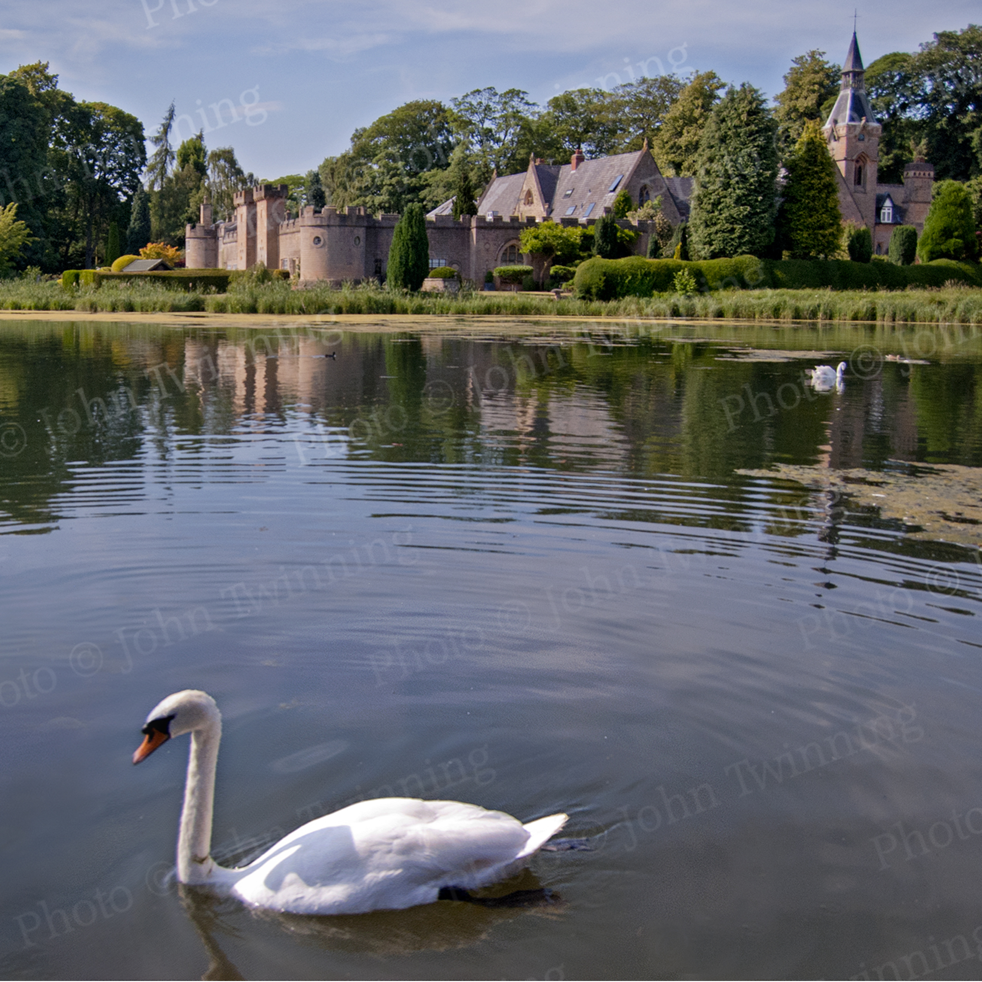 'Swan Lake' [square] - art print from a photo of a swan on still water in front of a castle