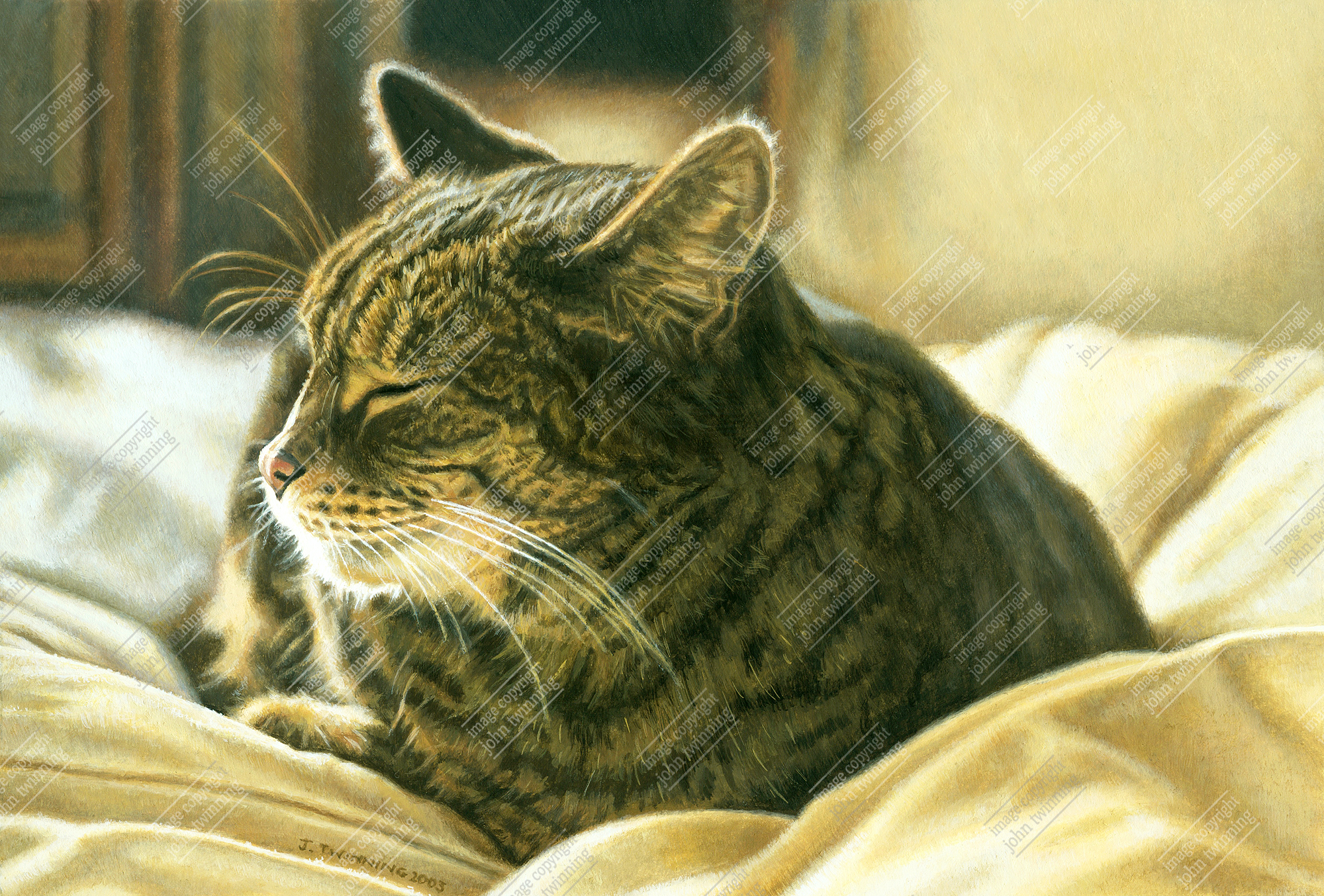 ‘Tabatha Study II’ – art print from a pet portrait watercolour painting of a tabby cat