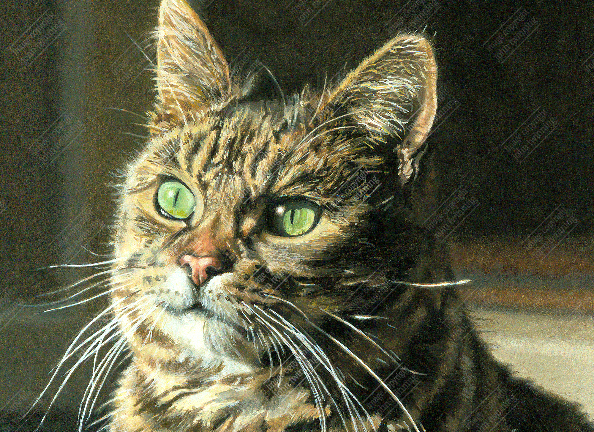 ‘Tabatha Study III’ [detail] – art print from a pet portrait watercolour painting of a tabby cat