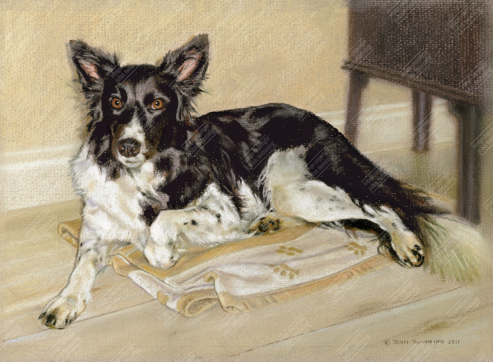 'Ffion' - art print from a pet portrait painting of a border collie